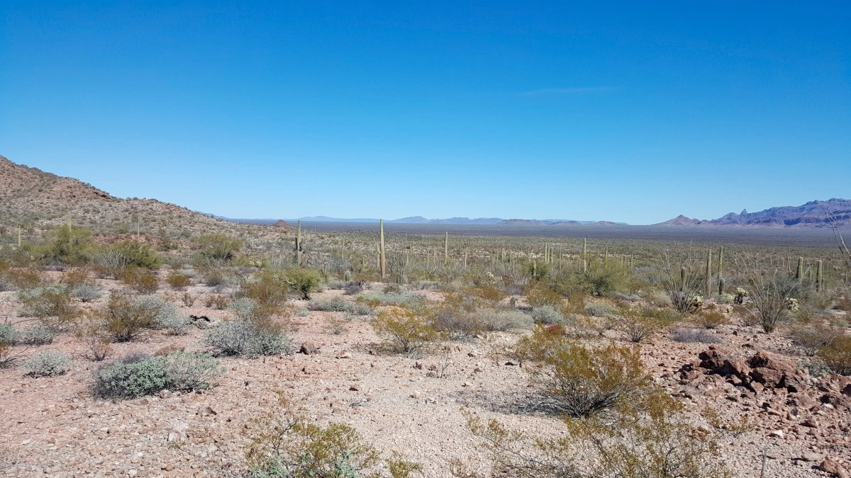 Migrant Trail Walk begins to honor the immigrants who died in the desert between Mexico and the US