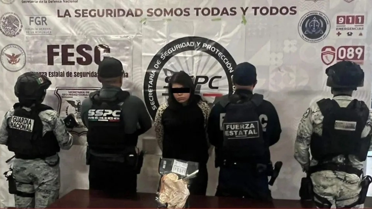 They arrest a woman in Tijuana who was transporting weapons inside a stuffed animal
