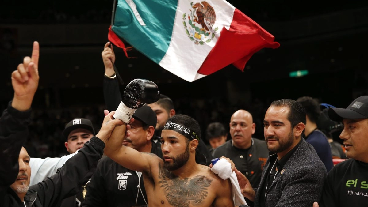 The Pantera Nery was beaten knocked out in four rounds