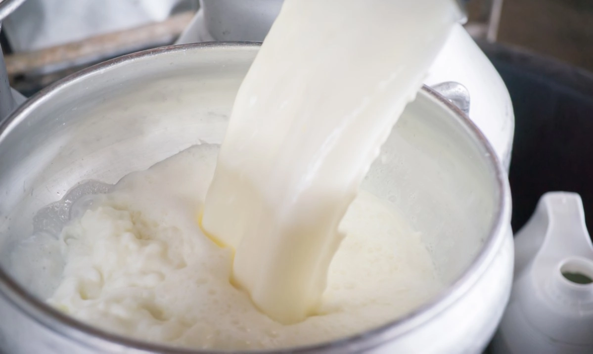 They investigate an increase in diseases related to the consumption of raw milk