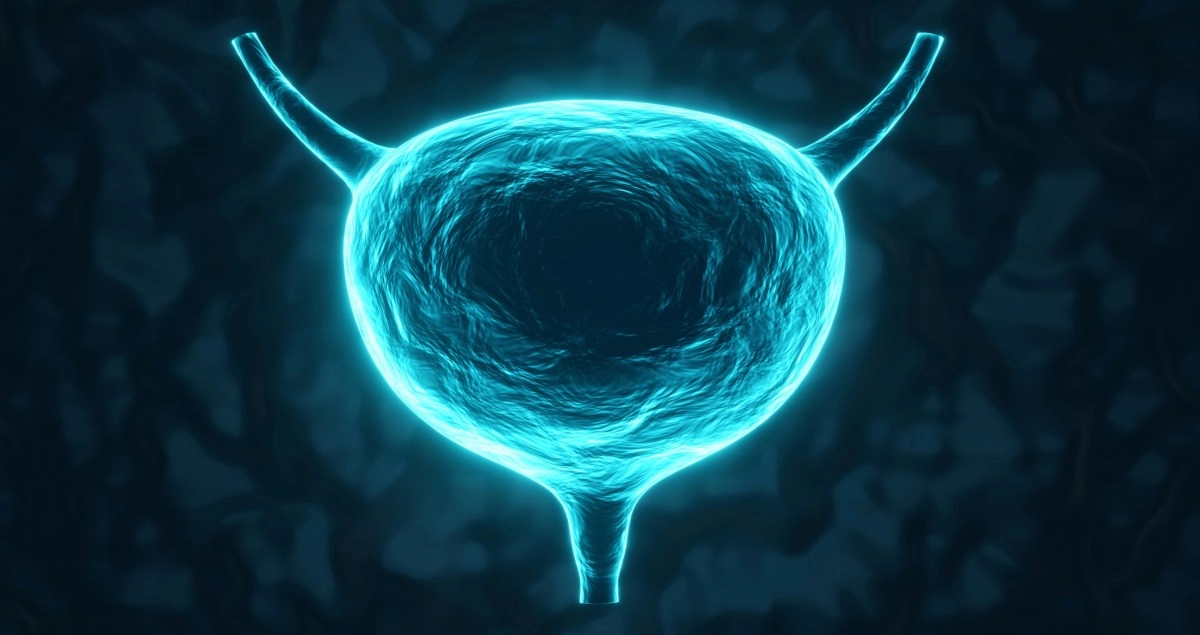 New therapy gives hope for survival to patients with bladder cancer