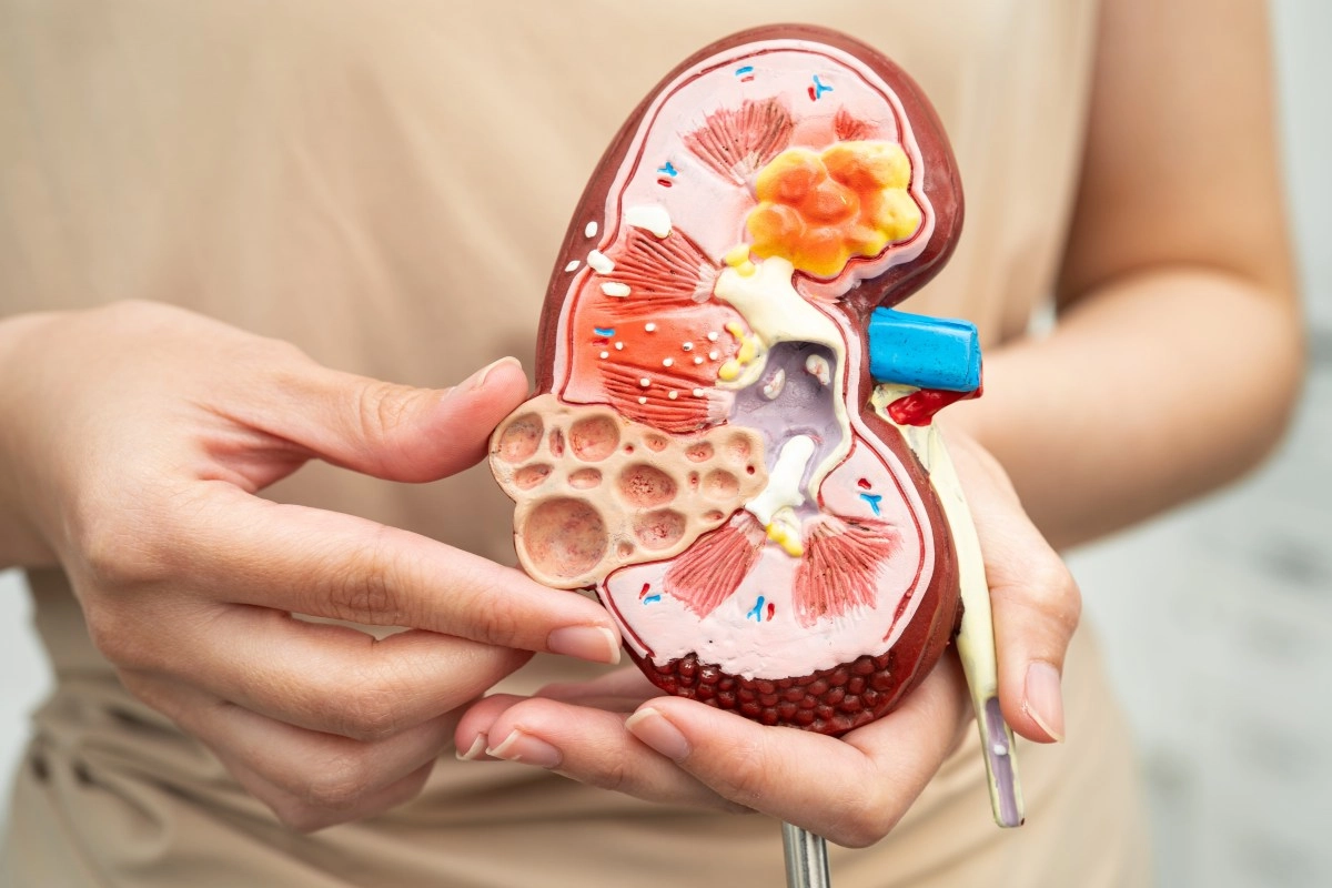 These two foods are damaging your kidneys and you eat them daily