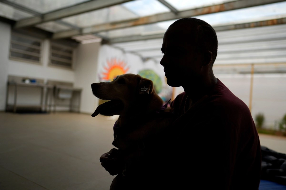 Trainer convicted in deaths of 11 dogs in Orange County