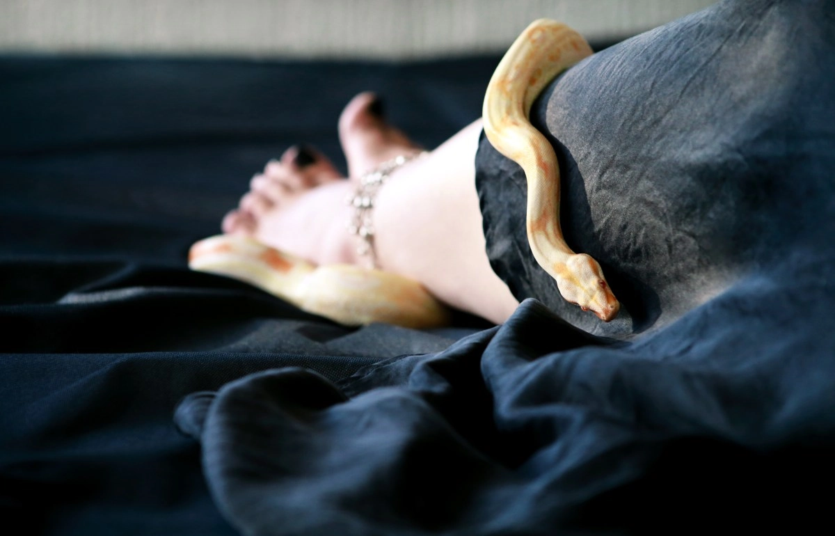 Dreaming about snakes has a positive and negative meaning what is it