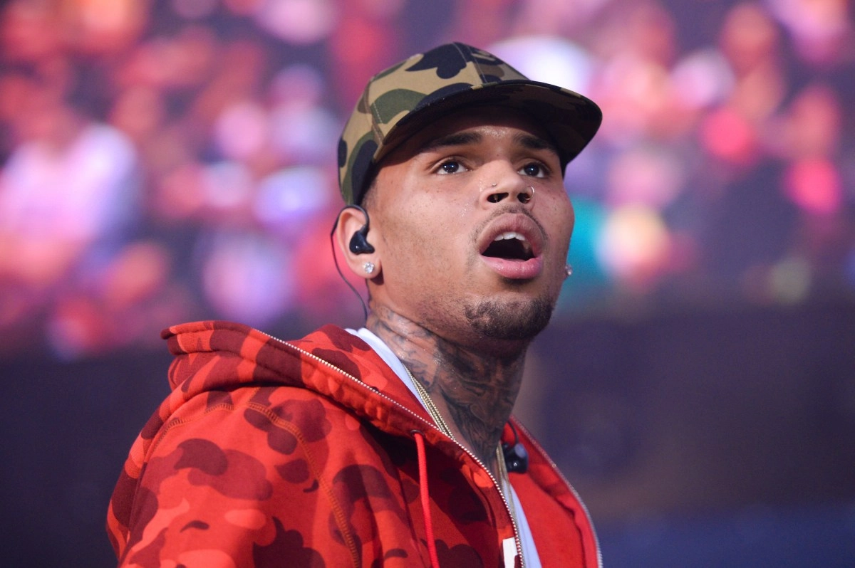 Chris Brown must pay 13000000 for dog attack on former employee