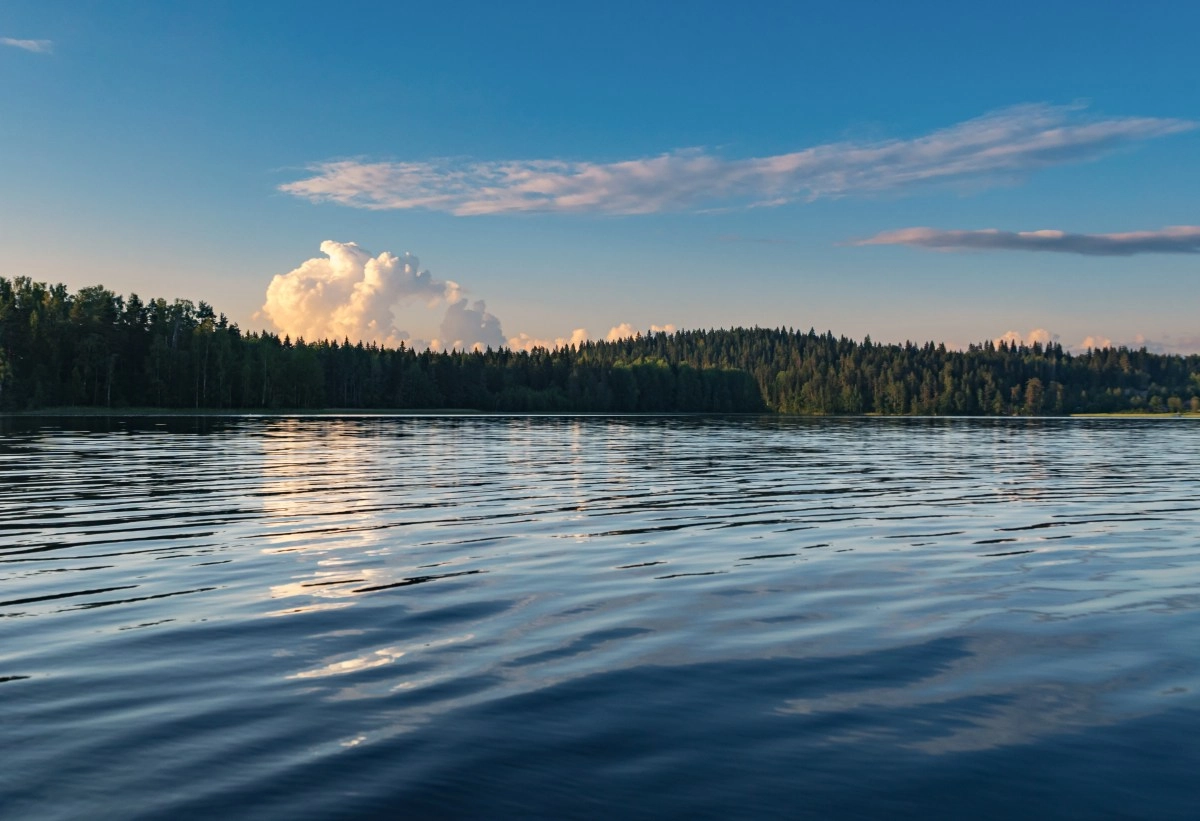 A 2yearold boy and a 74yearold woman die after drowning in a lake during a family outing in Texas