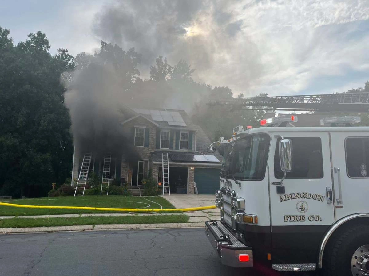 A dog turned on a toaster and caused a fire in Maryland three pets died