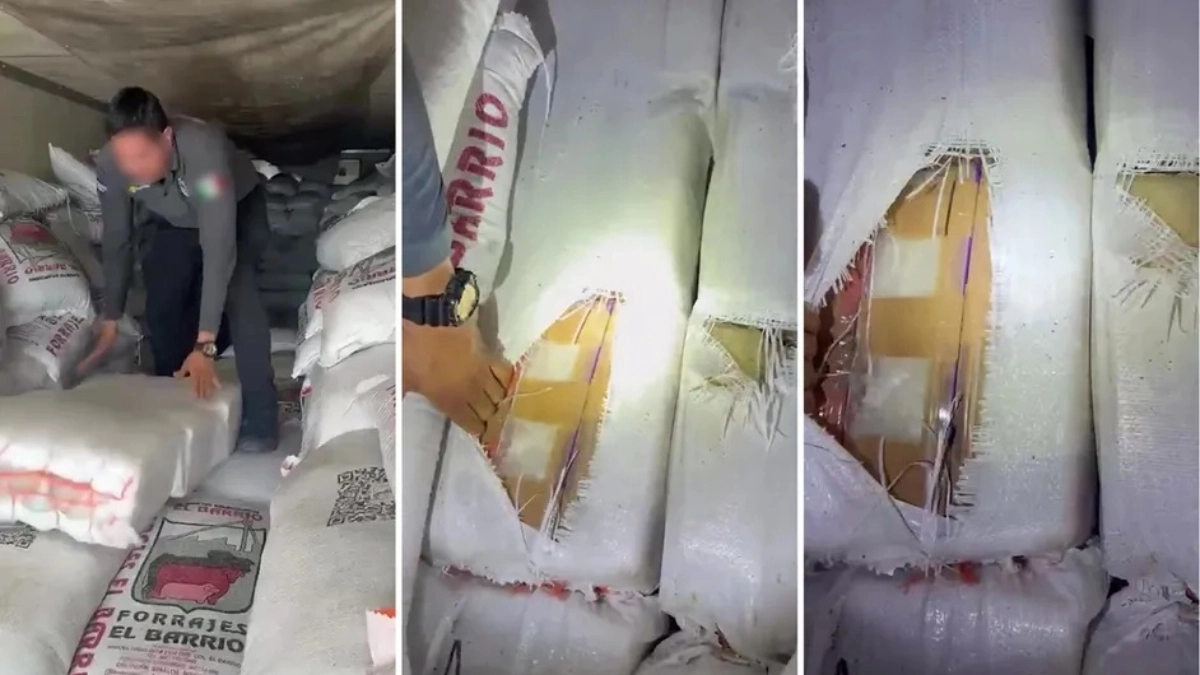 Huge drug seizure in Sonora more than 3 tons of methamphetamines hidden in livestock feed