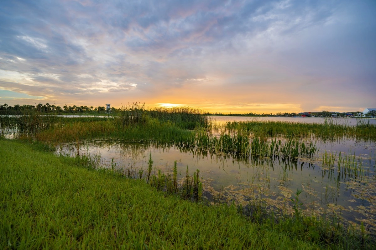 Mother dies after saving her 4yearold son from drowning in a Florida river
