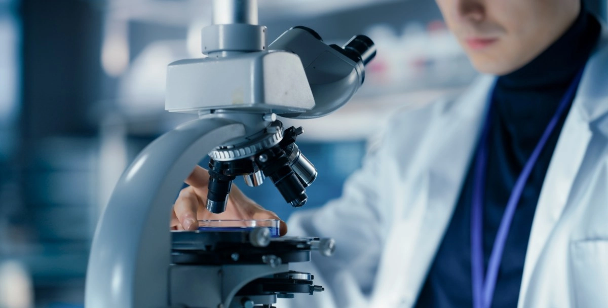 Stem cells what they are and why they arouse so much scientific interest
