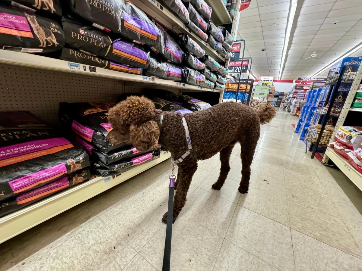 Pet food and product stores to close: Tractor Supply announces cuts to Petsense