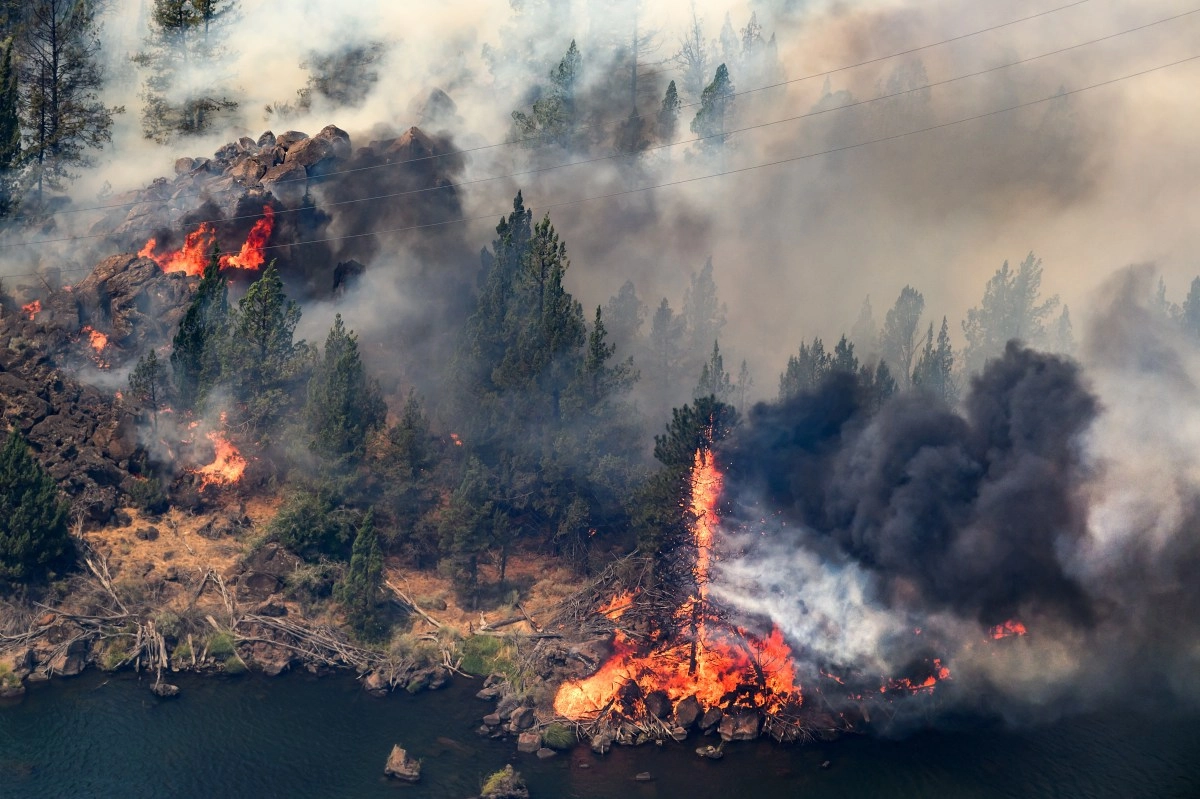 The fire did not reach your house but the smoke did what can insurance cover