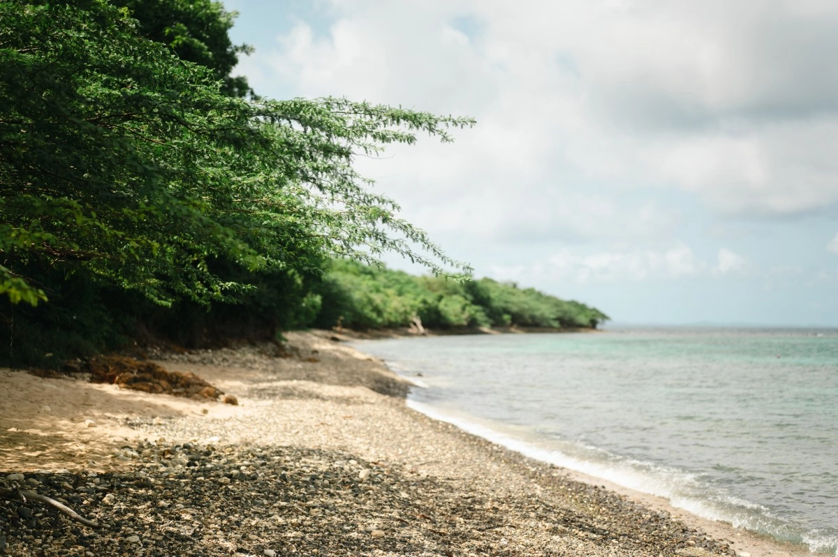 Ohio man was found dead on a beach in Puerto Rico after warning about a stranger hanging around his camp