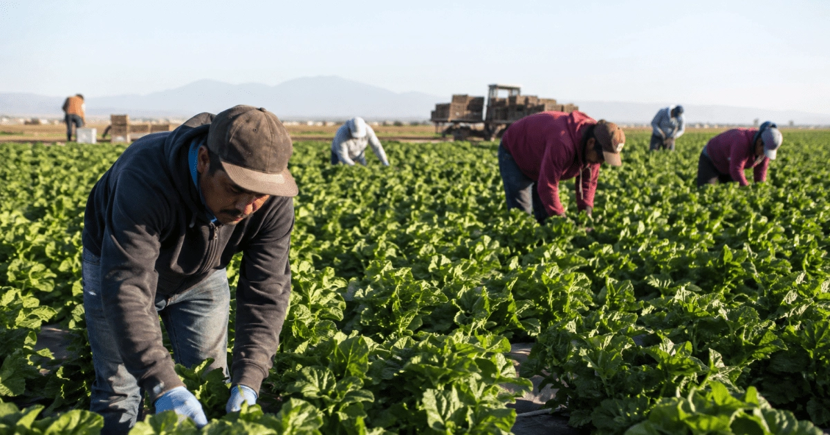 Fear of ICE is already changing life in the countryside: workers avoid doctors and shopping