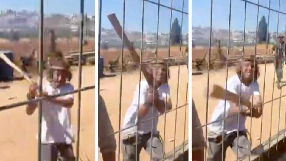 What it is like to live in a Palestinian village in the West Bank that suffers constant attacks from Israeli settlers
