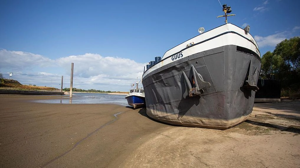 The historic drought that affects the Rhine and Danube, the main rivers of Europe