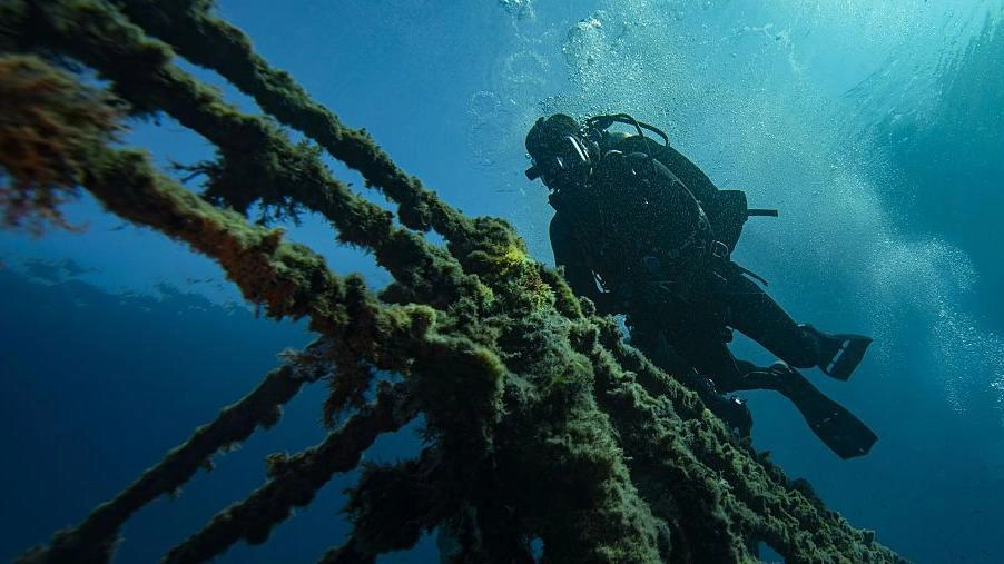 How stranded ships in the Strait of Hormuz may trigger a “superspread” of invasive marine species