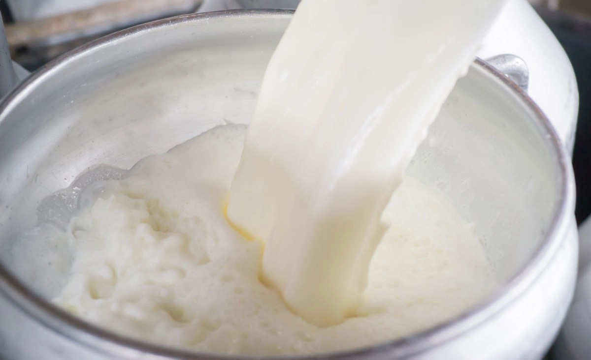 These are 5 foods you should never eat, according to an expert