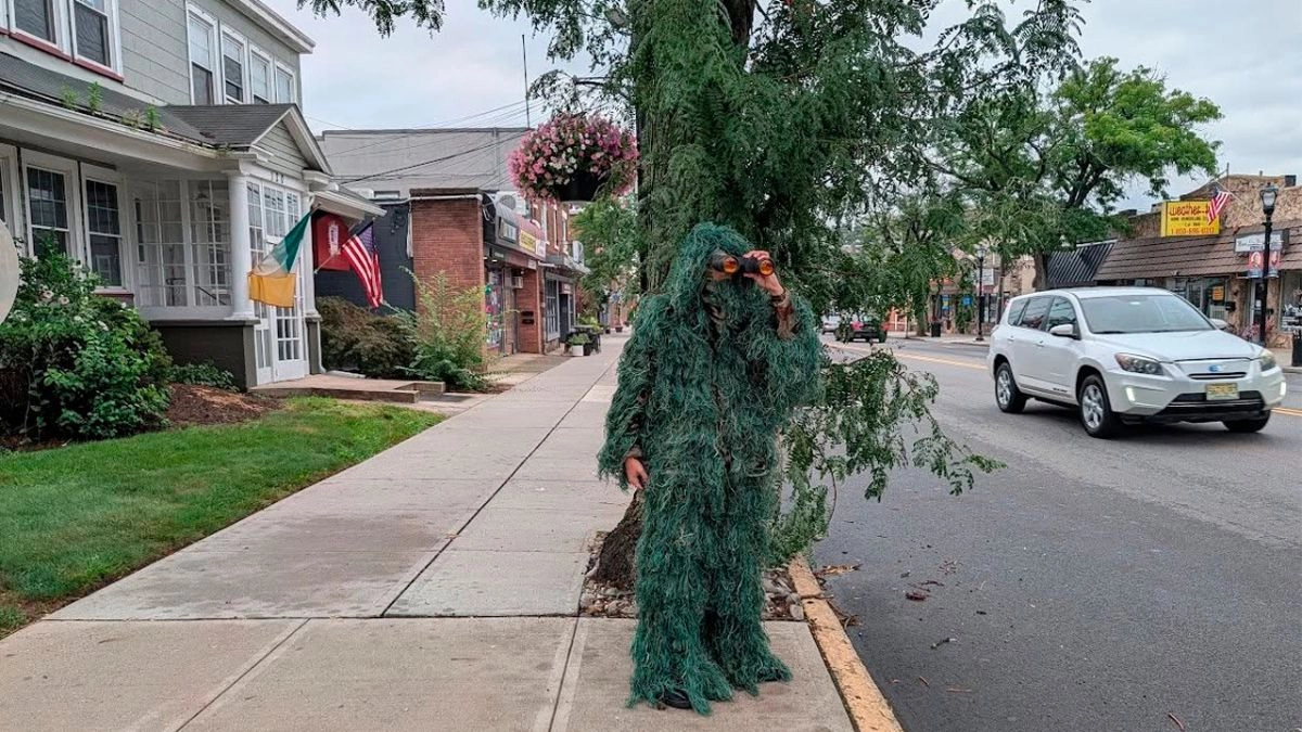 Police dressed as bushes fine 74 distracted drivers