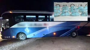 Illegal luggage: Two men traveled on a bus with 200,000 fentanyl pills