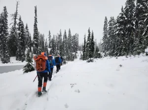 Two hikers trapped in snow rescued with just a plastic tarp in Washington