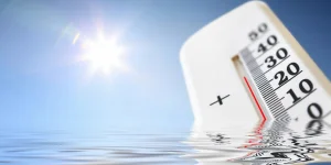 Heat waves and cardiovascular risk: an alarming link