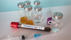 The hantavirus reappeared: what is this outbreak about?
