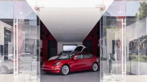 Tesla suffers sharp fall in sales in an important country