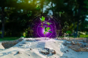 3 zodiac signs can prosper this weekend of may