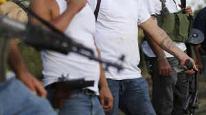 Los Ardillos, the criminal group that displaced hundreds of Guerrero families through bombings