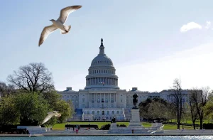 Senate will punish legislators without pay if they cause shutdown of the government
