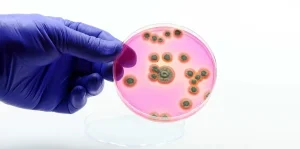 Alarming increase of candidemia in the US, reveals study