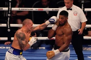 They do not rule out a third fight between Usyk and Joshua