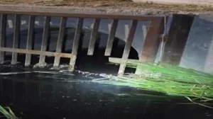 Border Patrol discovers 19 migrants hidden in drainage tunnels in San Diego
