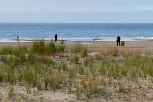 Woman receives sentence of 20 years to life in prison for drowning her three children in New York