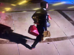 Sophisticated thieves caught in Los Angeles and Ventura