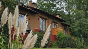 Government of Mexico will auction the ranch where “El Mencho” died