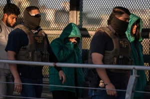 Facts of the week: ICE faces crisis over suicides and hunger strikes