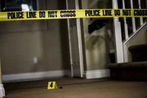 8-year-old boy died after trying to protect his mother from an alleged attack by her partner in Illinois