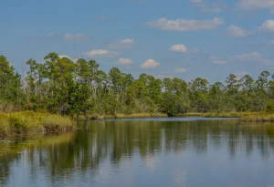 18-year-old man died after being struck by lightning while kayaking in Florida