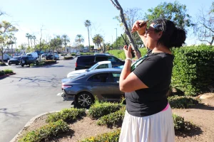 ‘Exhaustion is real,’ say ICE surveillance volunteers in Southern California