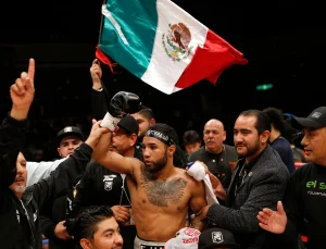 Pantera Nery failed again on the scale, but the fight continues in Japan