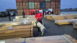 Chile achieved the largest drug seizure in its history valued at 8,334 million dollars