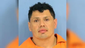 Man fleeing police in Louisiana jumped into swamp and was attacked by alligator