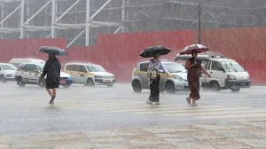 Scientists say that the El Niño phenomenon has already begun and warn of the extreme climate effects it can bring