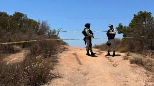 They find remains of 3 missing teenagers who traveled to Tijuana for an alleged job offer