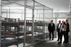 Activists denounce lack of transparency regarding the transfer of migrants detained in “Alligator Alcatraz”