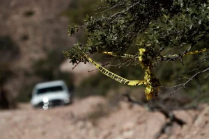 Four bodies found in clandestine graves in Mexico; two victims were missing Americans