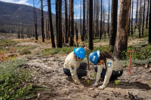 California Conservation Corps Celebrates 50 Years of Supporting Youth and Protecting Nature