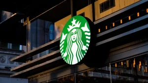 Starbucks debuts the pink Bearista cup: what's new?